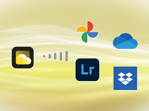 Nikon Imaging Cloud transfer interface